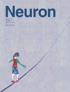 Circuit function in the CNS relies critically on the balance of excitation and inhibition. In this issue, Mende et al. (pages 1189–1202,Mende et al., 2016, Neuron 90, 1–14 June 15, 2016) use the mouse spinal reflex circuit to propose a model in which coordinated activity-dependent retrograde signals direct the molecular differentiation of axo-axonically synapsing GABAergic terminals. In this model, the inhibitory potency of GABAergic interneurons is increased in response to excitatory activity, such that a homeostatic balance of excitation and inhibition is maintained. The cover image depicts a girl on a tightrope, representing the fine balance both required for, and allowed by, functioning proprioceptive reflex circuits. Cover artwork by Ryuji Yamashita.